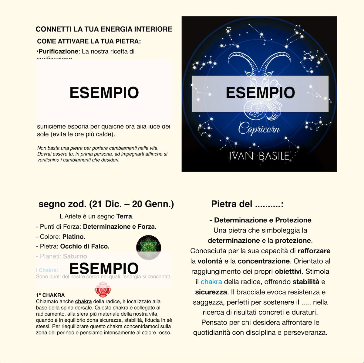 Pulsera LEO + Folleto de Signos